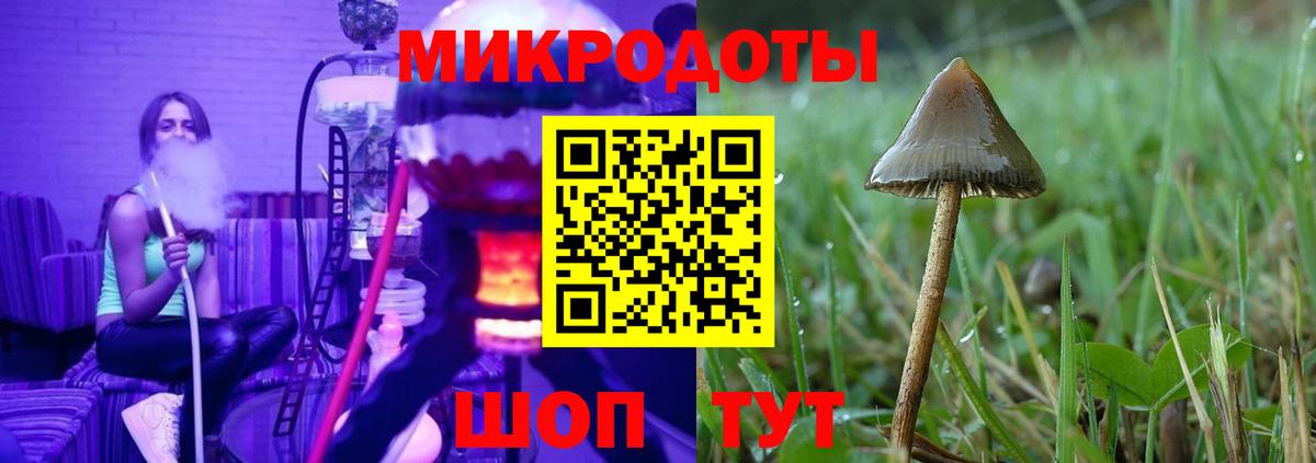 Галлюциногенные грибы Magic Shrooms  Вход с VPN  закладки  Зеленодольск 